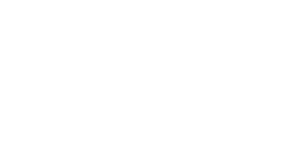 Corporate Initiatives